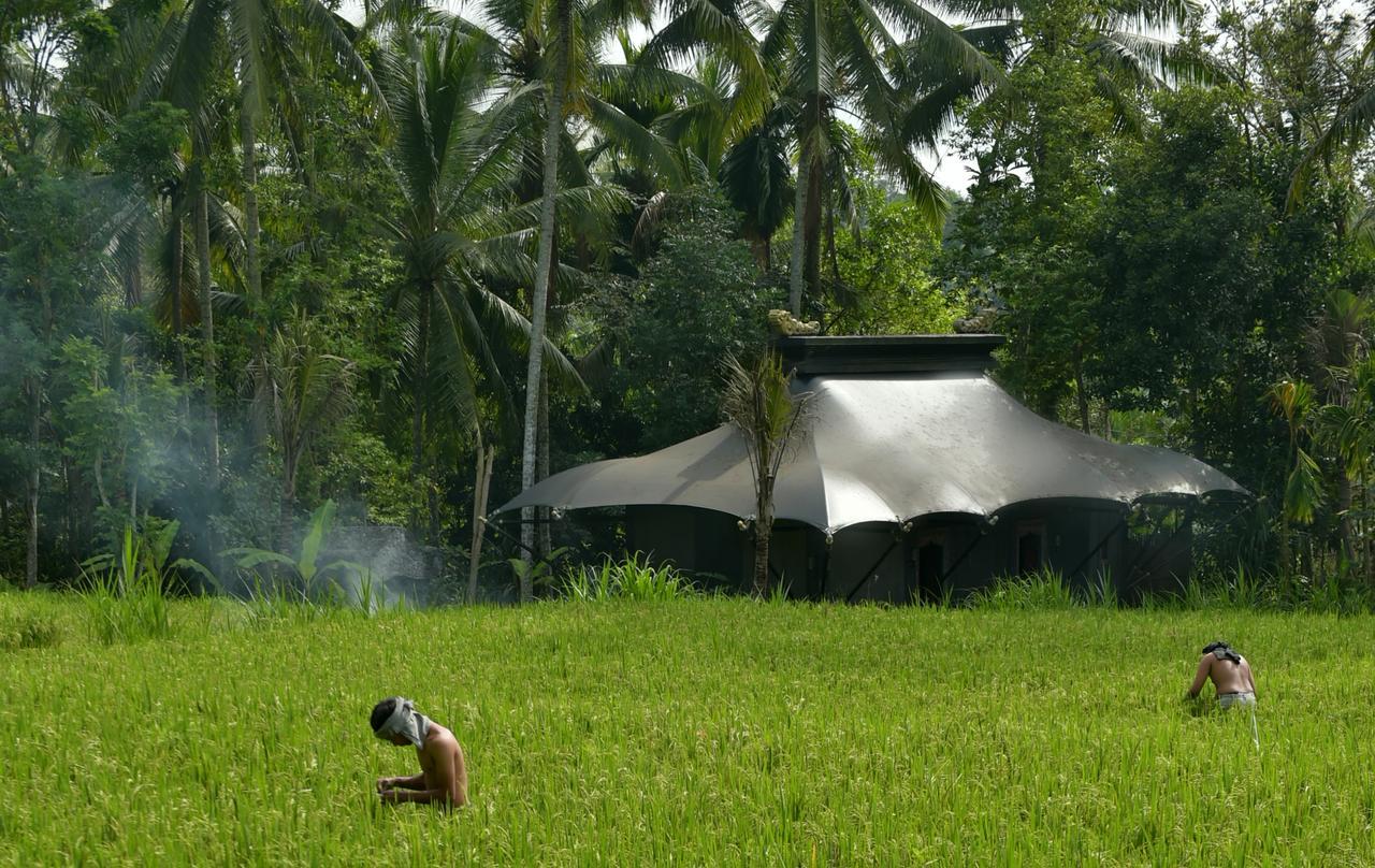 Capella Ubud, Bali Екстериор снимка